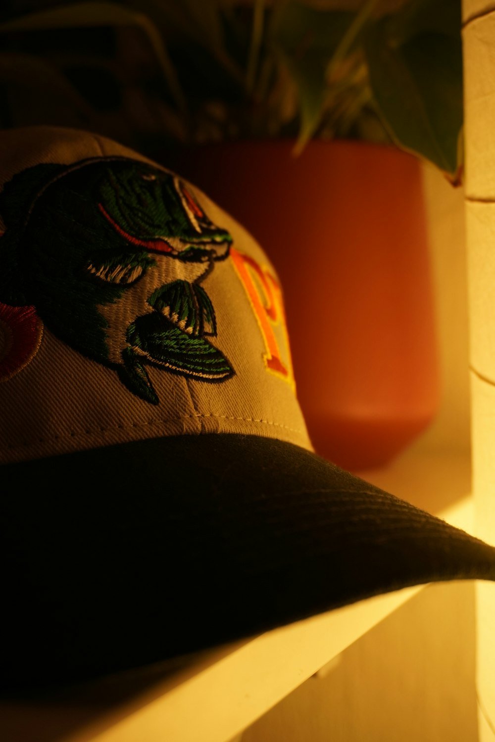 Baseball cap with an embroidered design on the front